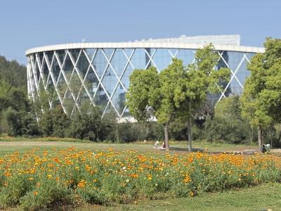 咸安：花菱草盛放，赴一场春日之约