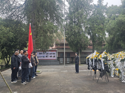 汀泗桥镇非公企业联合支部：开展清明祭扫 传承红色精神