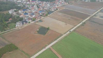 无人机飞播、数字化管护 咸安高标准农田春耕智慧升级