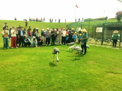 “才聚桂乡·潮拍计划 ” 直播达人赋能咸安文旅出圈