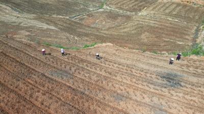 咸安区万秀村特色产业赋能乡村振兴