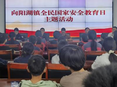 向阳湖镇：筑牢安全防线 争做国安小卫士