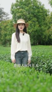 上春山，寻咸安那片“金叶子”