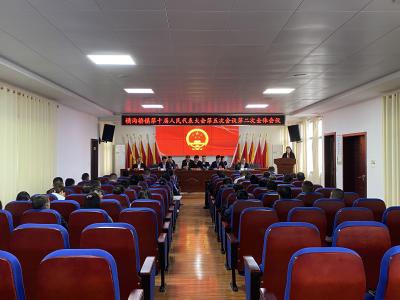 横沟桥镇召开第十届人民代表大会第五次会议 