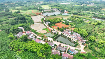 点赞！咸安这项工作获《精神文明导刊》推介