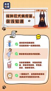 文明宣传 | 文明养犬，这些知识请牢记！