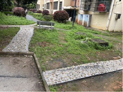 温泉街道岔路口社区：邻里同心修新路 共治共享暖家园