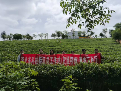 区科经局机关党支部联合科技特派员开展“春季惠农科技下乡”活动