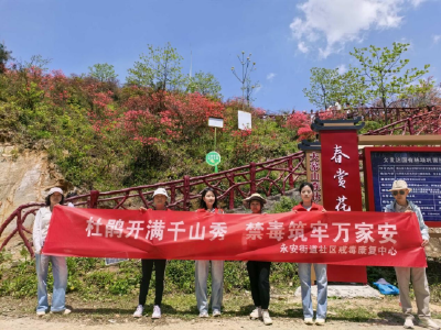 永安街道：赏花识毒护平安 文旅融合传理念