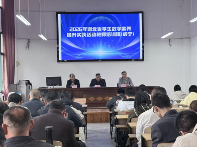 数字赋能教育 培训助力成长 咸安区开展数字素养教师培训