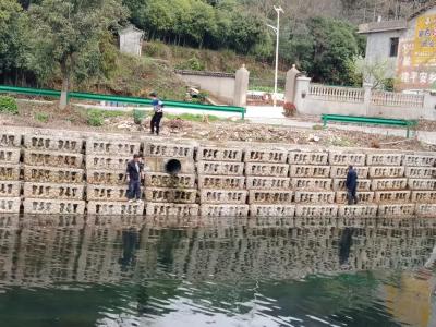 咸安区桂花镇：白沙河畔展新颜 群众齐心护家园