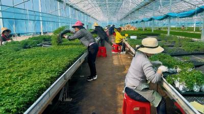 以思路换出路——雨坛垴村“变形记”