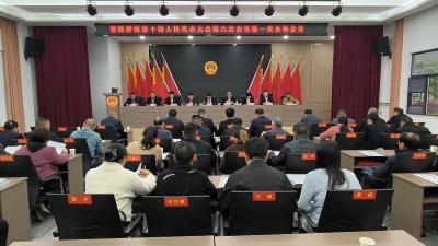 贺胜桥镇召开十届人大第六次会议