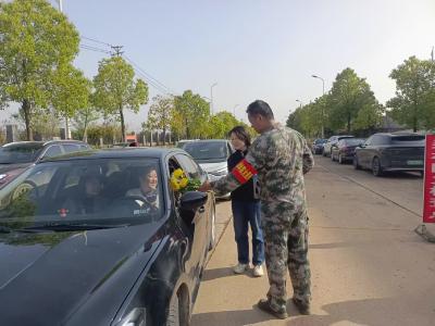 横沟桥镇免费发放可降解鲜花  倡导文明绿色祭扫