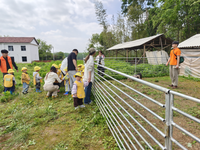 沉浸式自然研学落地泉湖 农旅融合赋能乡村发展