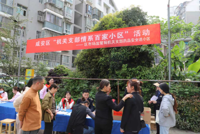 咸安区持续深化“情系百家小区”活动 以党建引领聚合力惠民生