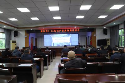 咸安区举办知识产权专题培训 赋能特色产业高质量发展