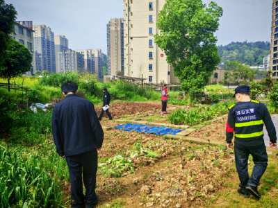 警社联动护家园 春季禁种铲毒在行动