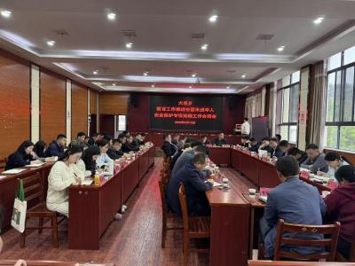 大幕乡召开教育工作推进会暨未成年人安全保护专项治理工作会商会