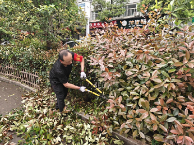温泉街道花坛社区：修剪绿植焕新颜 共建宜居幸福家  