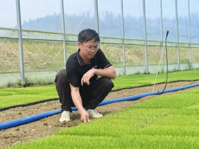 基层人物丨田辉：种田不是退路，是出路