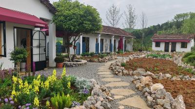 藏在咸安山野的“小森林”，一位90后的咖啡与书香之旅