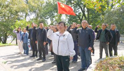 ​浮山街道：缅怀革命先烈 汲取奋进力量