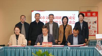 咸安——江夏、咸安——黄陂旅游发展联盟成立 共推武咸同城文旅一体化