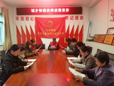 汀泗桥镇赛丰村：政策宣讲进乡村 惠民服务暖民心