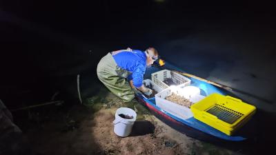 向阳湖奶牛场：凌晨灯火映水面 一笼龙虾一笼金