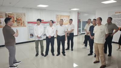 武汉企业家组团探访咸宁贺胜桥镇 政企携手擘画产业融合新图景