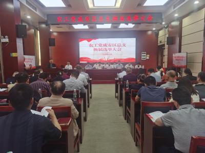 农工党咸安区总支圆满完成换届选举 凝心聚力启新程