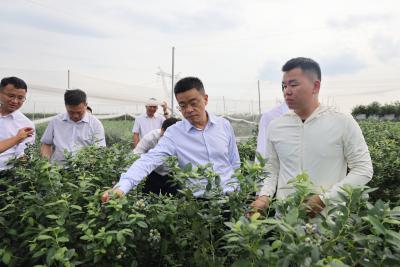 李军平在横沟桥镇调研时强调 坚持“学、查、改、立”一体推进 推动学习教育走深走实  