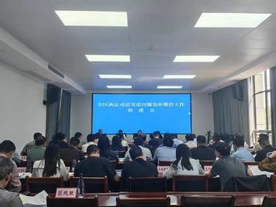 咸安区召开执法司法突出问题集中整治工作推进会