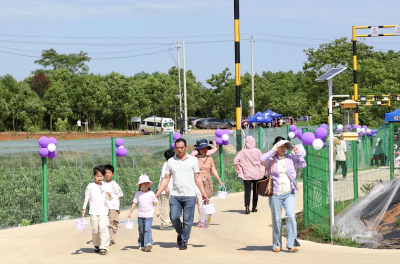 咸安横沟桥镇森博蓝莓园今日开园 快来采摘初夏第一口清甜