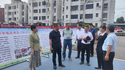 市人大常委会调研我区义务教育优质均衡发展工作
