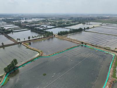 向阳湖镇：“一田双收”蹚出致富新“稻”路