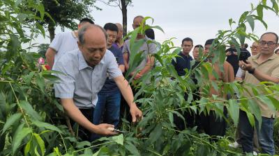 咸安：专题培训走进田间 赋能果农丰产增收