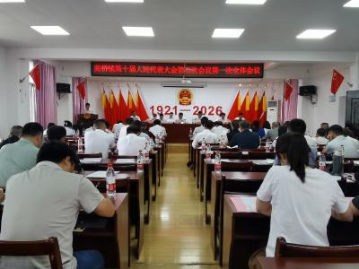 高桥镇：凝心聚力谋发展 实干担当惠民生