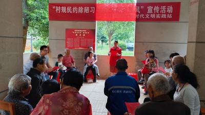 贺胜桥镇滨湖村：宣传村规民约 引领文明新风
