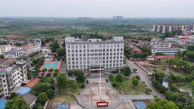 官埠桥镇：脚步向下 民心向上