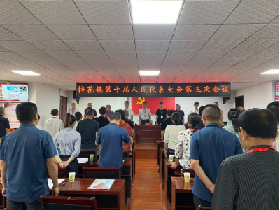 桂花镇召开第十届人民代表大会第五次会议