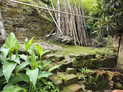 青石竹篱 草木生香 一方庭院两相守——黄铁村“最美庭院”里的平凡幸福