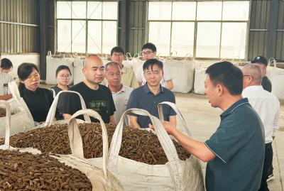 60余名学员齐聚咸安，共探农作物秸秆“变废为宝”新路径