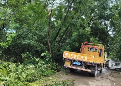 清除路障暖民心 畅通路域护平安