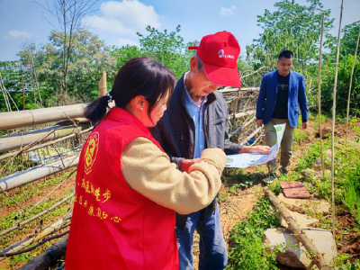浮山街道：踏查清零除隐患 禁种防毒护平安