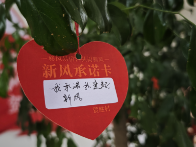 贺胜桥镇贺胜村移风易俗宣传活动入人心