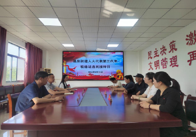 温泉街道肖桥村：“代表有约”暖民心 为民解忧办实事  