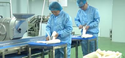供销赋能小萝卜撬动振兴大产业