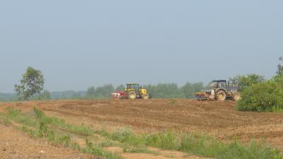 夏耕夏种抢农时 向阳湖镇大豆玉米带状复合种植助农增收